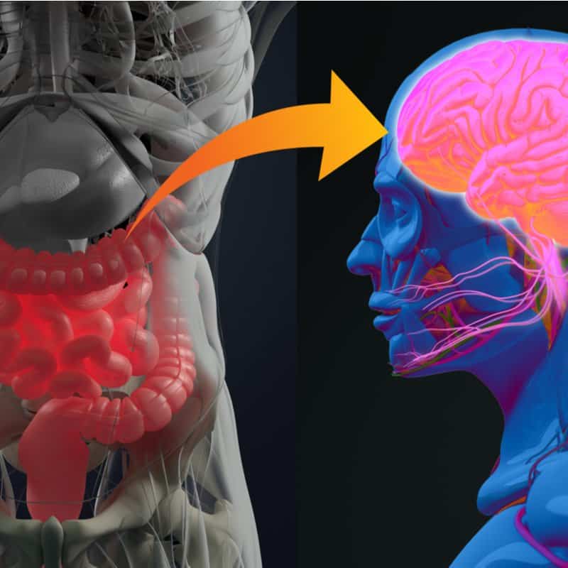 Gut-brain connection - Dr. Axe