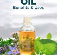 Borage oil - Dr. Axe