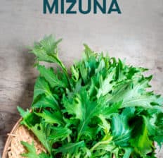 Mizuna - Dr. Axe