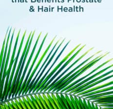 Saw palmetto - Dr. Axe