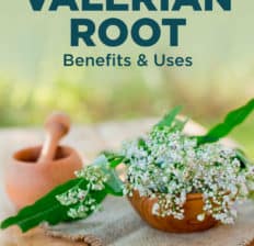 Valerian root - Dr. Axe