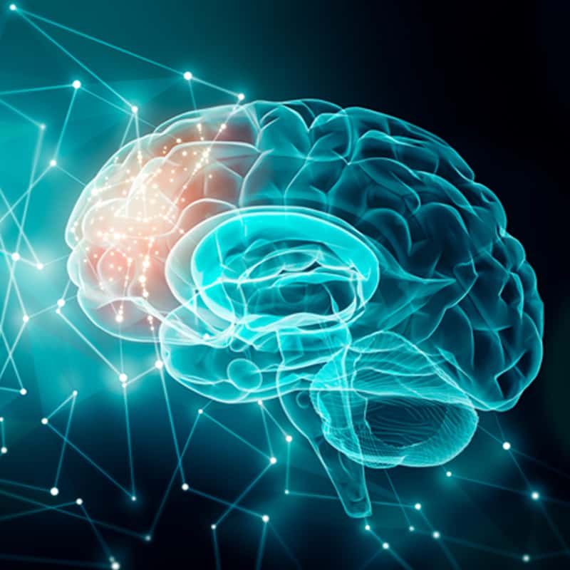 Brain activity - Dr. Axe