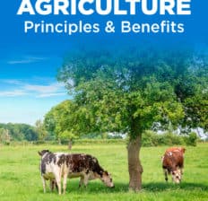 Regenerative agriculture - Dr. Axe