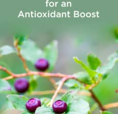 Huckleberry - Dr. Axe