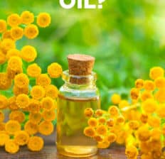 Blue tansy oil - Dr. Axe