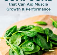 Ecdysterone - Dr. Axe