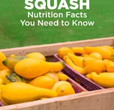 Yellow squash nutrition - Dr. Axe