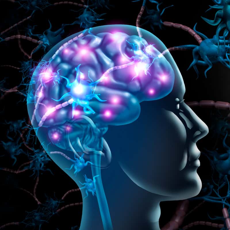 HDL cholesterol may help prevent Alzheimer's