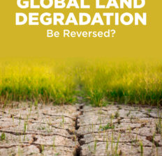 Global land degradation - Dr. Axe
