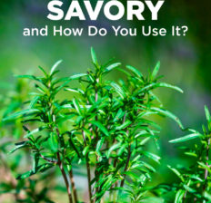 Summer savory - Dr. Axe
