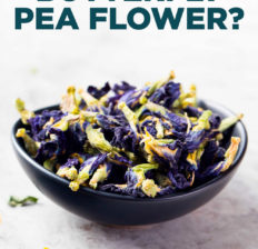 Butterfly pea flower - Dr. Axe