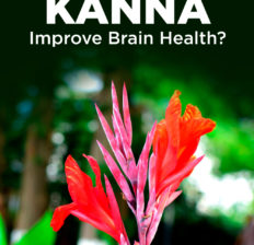 Kanna - Dr. Axe