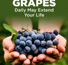 Grapes for longevity - Dr. Axe