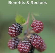 Marionberry - Dr. Axe